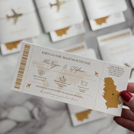 Travel passport invitation card with airplane icons and map design for special journeys.